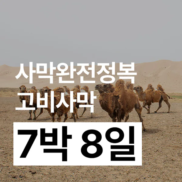 7박 8일 몽골여행 테를지 고비사막 세미패키지 프라이빗 투어 은하수 게르 대표 이미지