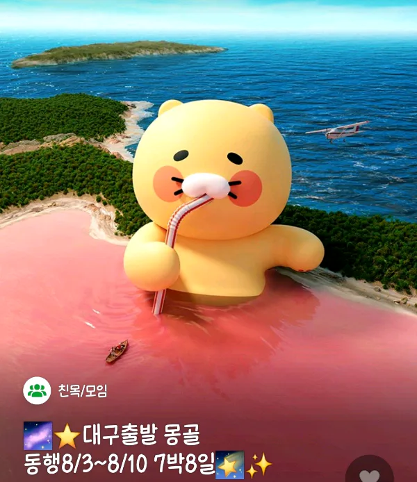 ✈️ 투어 8/3~8/10 남고비 동행 구합니다 대표 이미지
