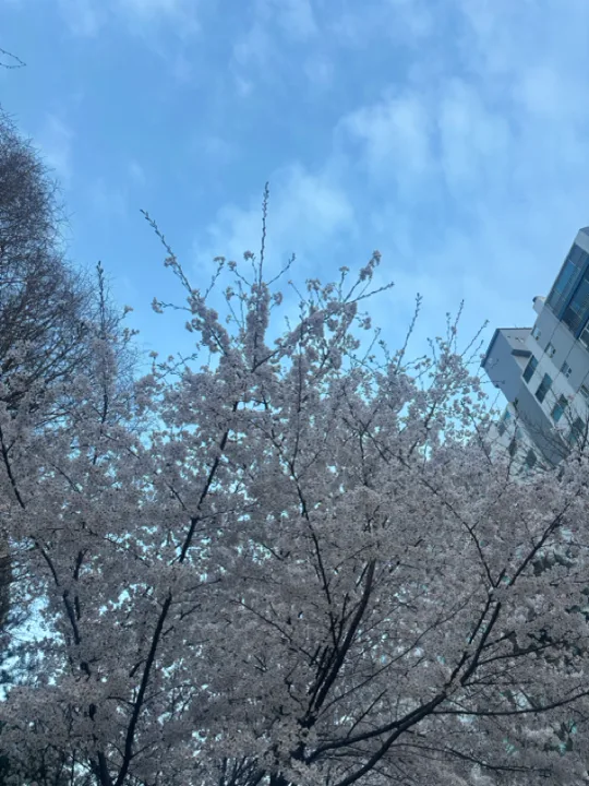 8/6-8/9 몽골 3박4일 동행 구합니다. 대표 이미지