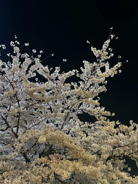 (4박 5일) 5/17-5/21일 몽골 동행 구해요!! 대표 이미지