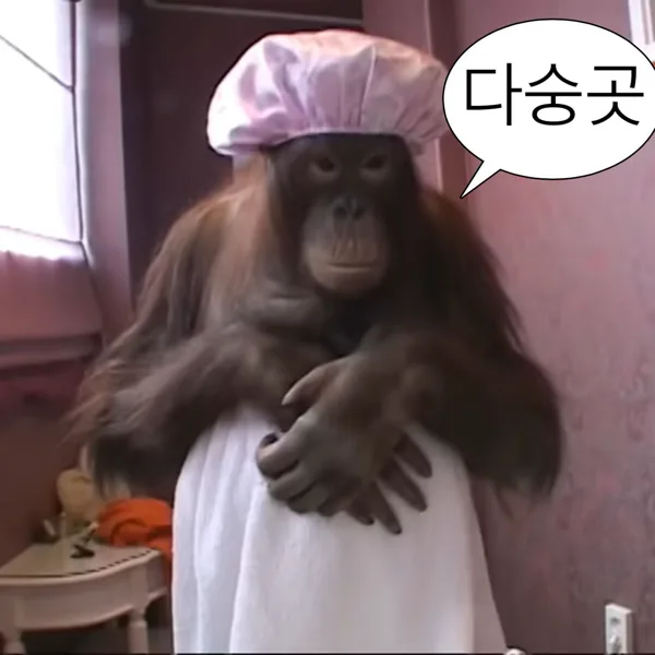 8/11~8/16 달 없는 날🌌 중부투어 동행 모집해요 대표 이미지