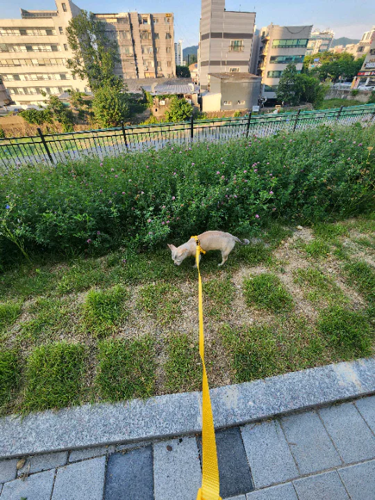 8/14~8/18일 4박5일 같이 여행가요 대표 이미지