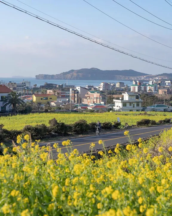 제주 4박5일 여행 동행구해요! 대표 이미지
