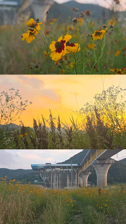 몸이힘든여핼 대표 이미지